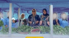 Oplus_131072
