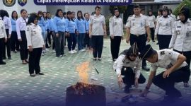Oplus_131072