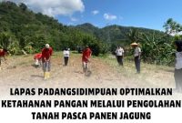Oplus_131072