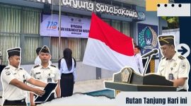 Oplus_131072