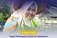 Oplus_131072