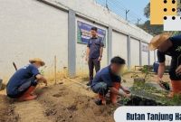 Oplus_131072
