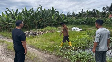 Pasca Hujan Lebat, Kalapas Labuhan Ruku Pantau Kondisi Lahan Ketahanan Pangan di Air Joman
