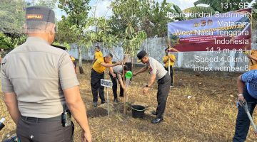 Kapolda NTB Bersama Forkopimda Tanam Pohon di Lanud ZAM, Perkuat Gerakan Green Policing