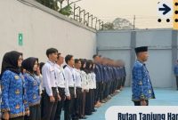 Oplus_131072